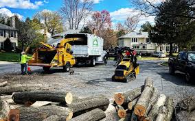 Mulching Services in Barbourmeade, KY